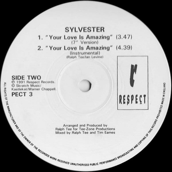 Sylvester - Your Love Is Amazing