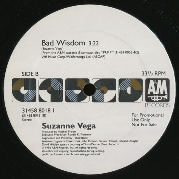 Suzanne Vega - Blood Makes Noise