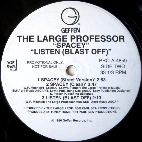 Large Professor - The Mad Scientist