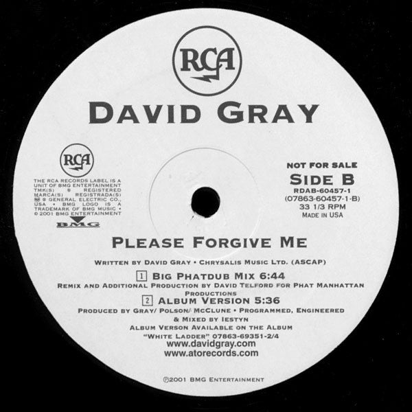 David Gray - Please Forgive Me