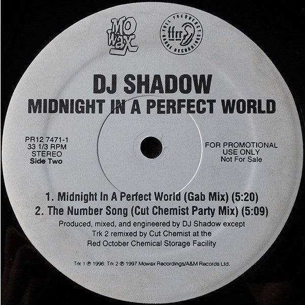 DJ Shadow - Midnight In A Perfect World