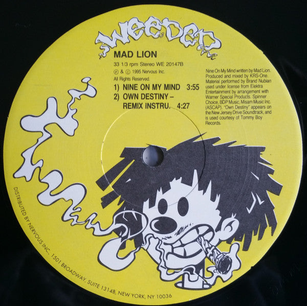 Mad Lion - Own Destiny