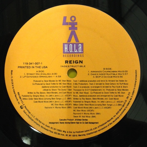 Reign (4) - Indestructible (The Remixes)