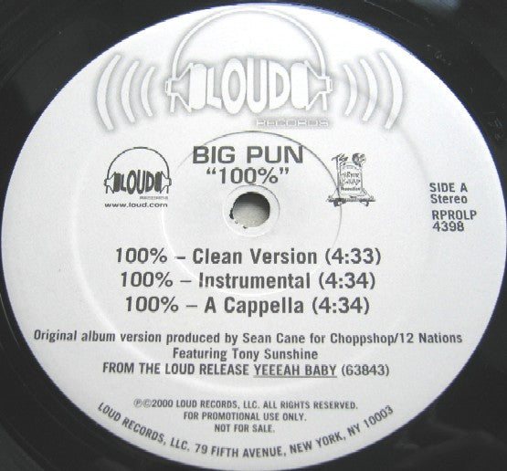 Big Punisher - 100%