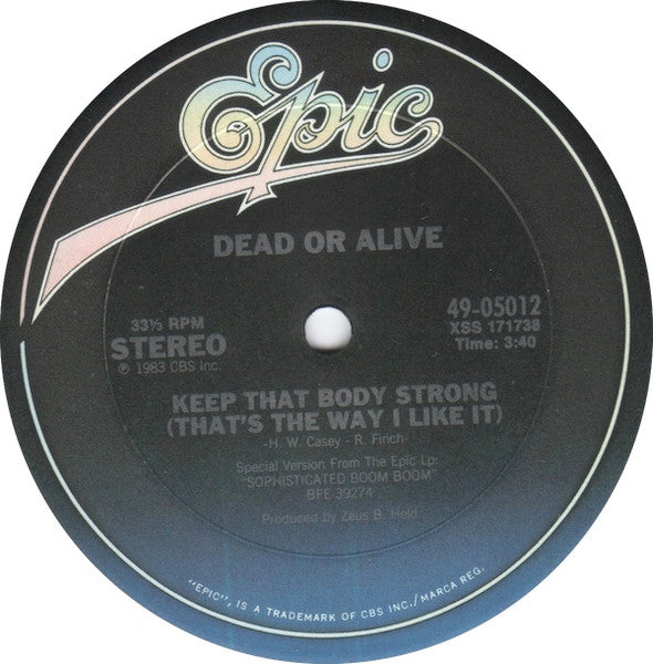Dead Or Alive - That's The Way (I Like It) (Dance Version)