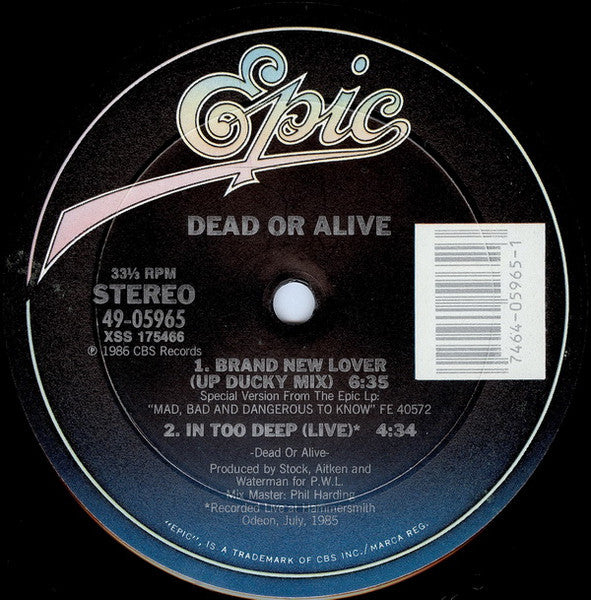Dead Or Alive - Brand New Lover