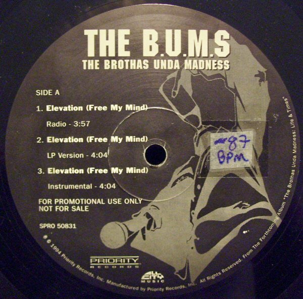 The B.U.M.S. (Brothas Unda Madness) - Elevation (Free My Mind) / 6 Figures And Up