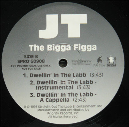 JT The Bigga Figga - Put Yo Mack Hand Down / Dwellin' In The Labb
