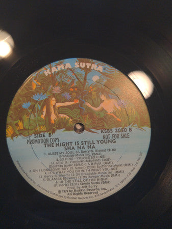 Sha Na Na - The Night Is Still Young