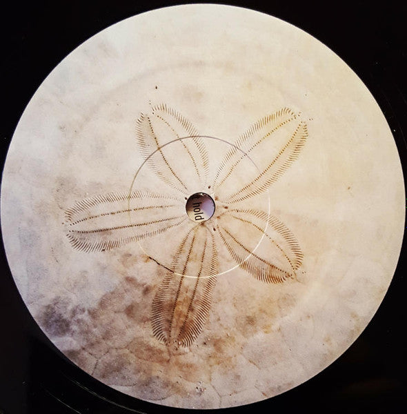 Sallie Ford - Soul Sick