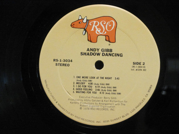 Andy Gibb - Shadow Dancing