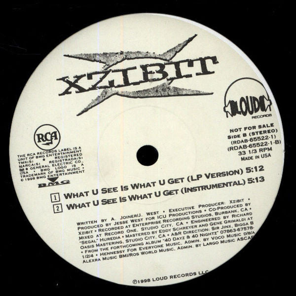 Xzibit - What U See Is What U Get