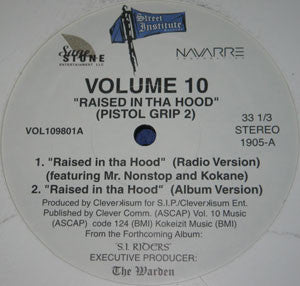 Volume 10 - Raised In The Hood