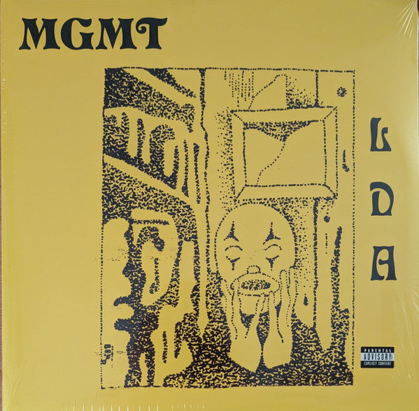 MGMT - Little Dark Age