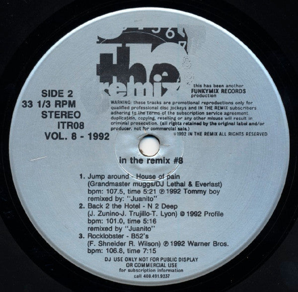 Various - In The Remix Vol. 8