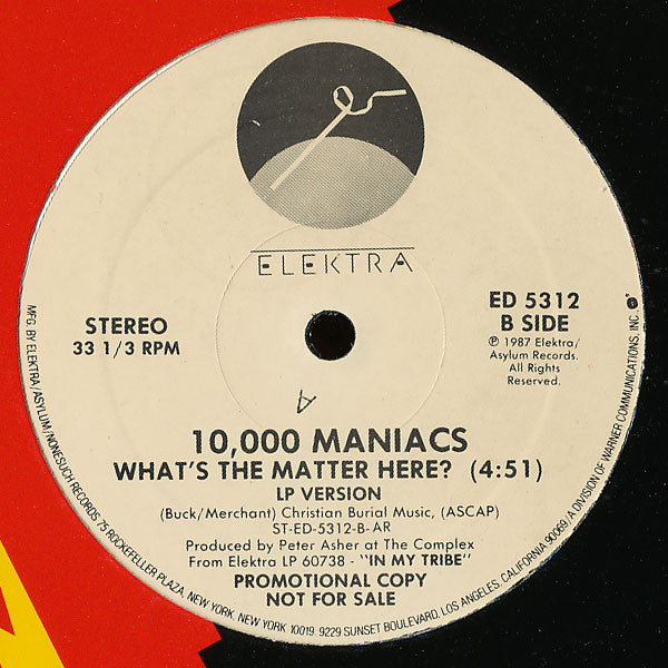 10,000 Maniacs - What's The Matter Here?