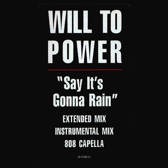 Will To Power - Say It's Gonna Rain