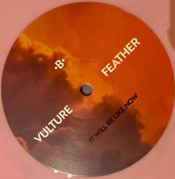 Vulture Feather - It Will Be Like Now