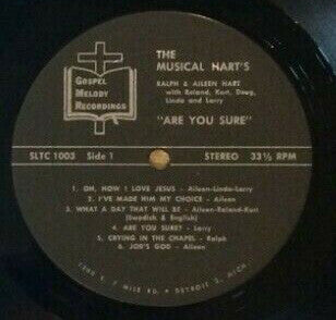 The Musical Harts - Are You Sure?