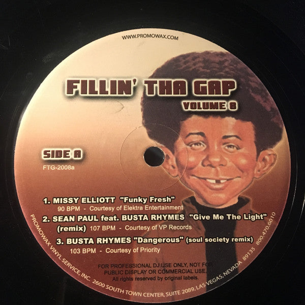 Various - Fillin' Tha Gap Volume 8