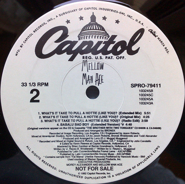 Mellow Man Ace - What's It Take To Pull A Hottie (Like You)?