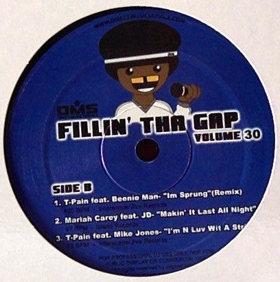 Various - Fillin' Tha Gap Volume 30