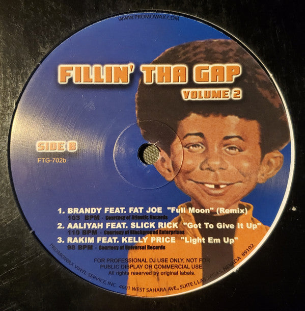 Various - Fillin' Tha Gap Volume 2