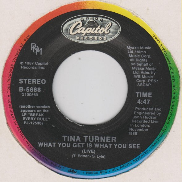 Tina Turner - What You Get Is What You See