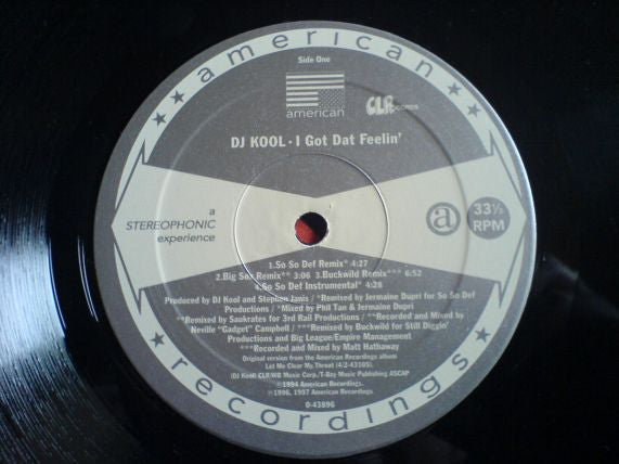 DJ Kool - I Got Dat Feelin' (Remix)