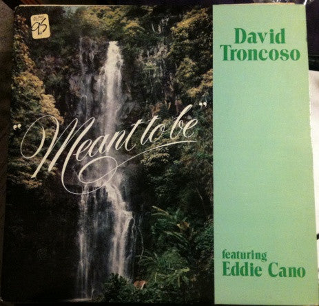 David Troncoso - Meant To Be