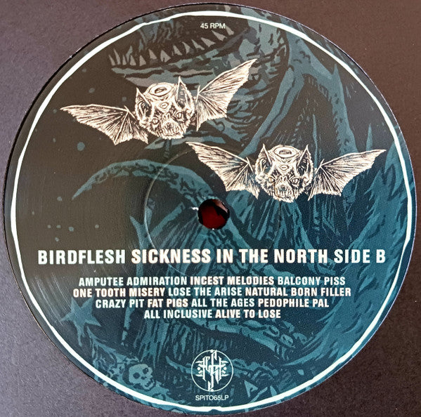 Birdflesh - Sickness In The North