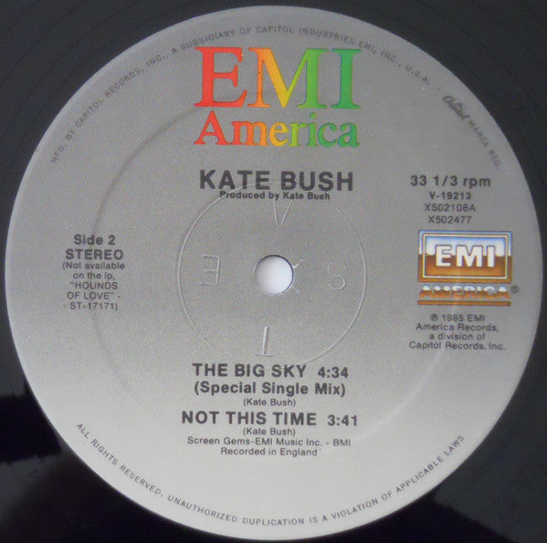 Kate Bush - The Big Sky (Meteorological Mix)