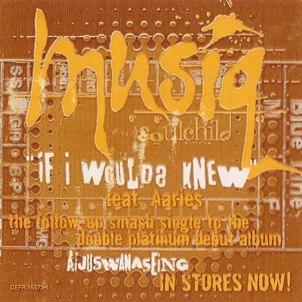 Musiq Soulchild - If I Woulda Knew