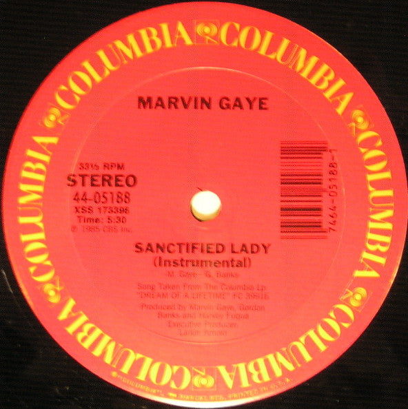 Marvin Gaye - Sanctified Lady