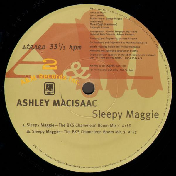 Ashley MacIsaac - Sleepy Maggie