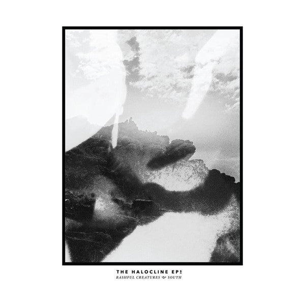 Hippo Campus - The Halocline EPs