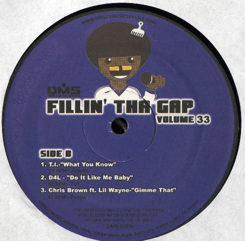 Various - Fillin' Tha Gap Volume 33