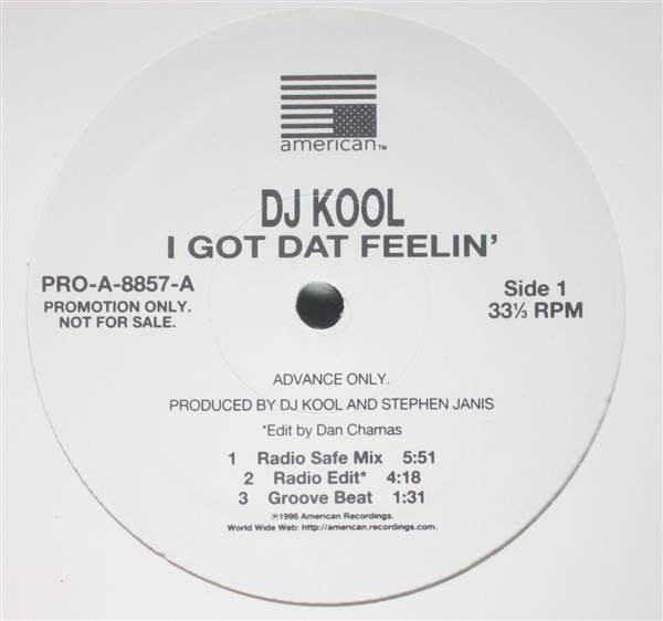DJ Kool - I Got Dat Feelin'