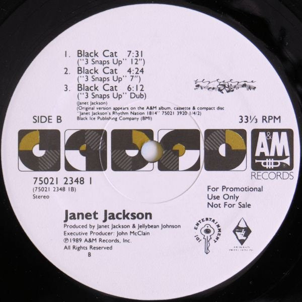 Janet Jackson - Black Cat