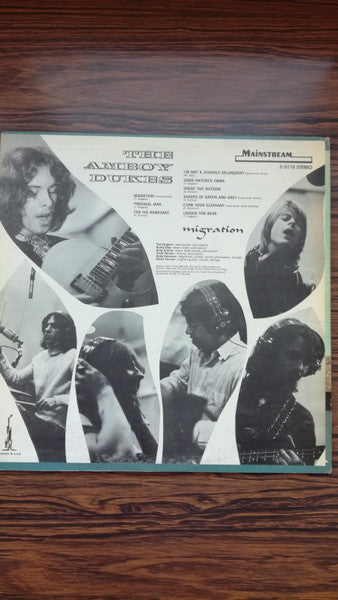 The Amboy Dukes - Migration
