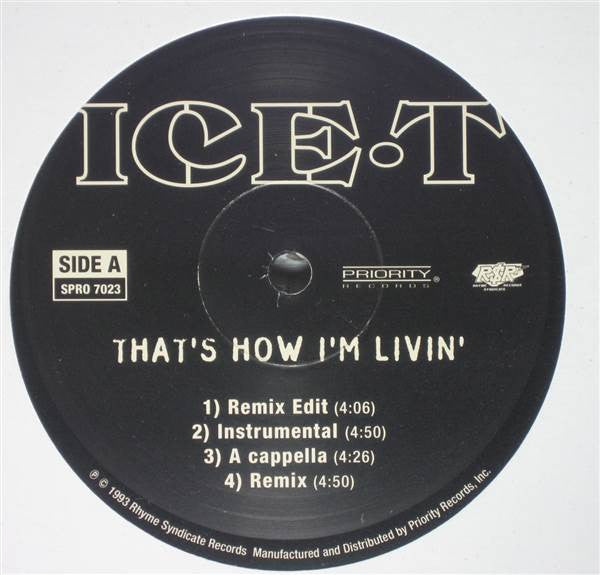 Ice-T - That's How I'm Livin' / 99 Problems