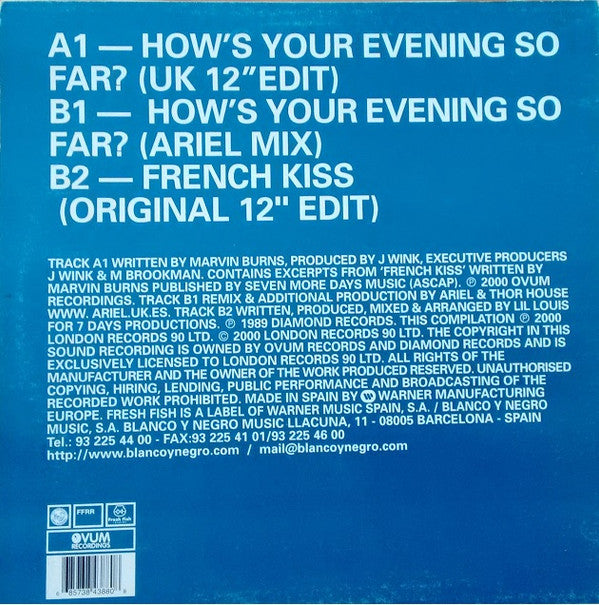Josh Wink & Lil' Louis - How's Your Evening So Far?