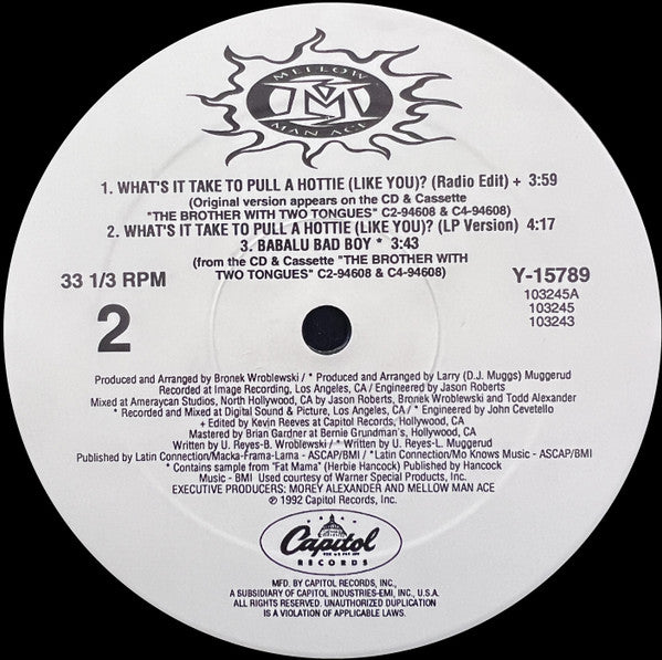 Mellow Man Ace - What's It Take To Pull A Hottie (Like You)?