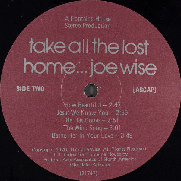 Joe Wise - Take All The Lost Home