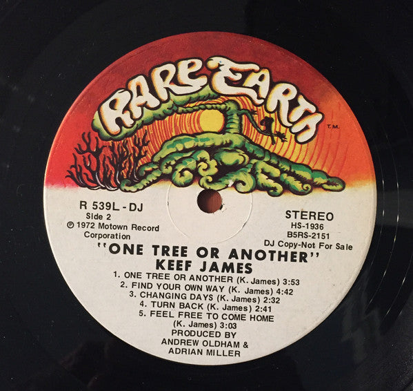 Keef James - One Tree Or Another
