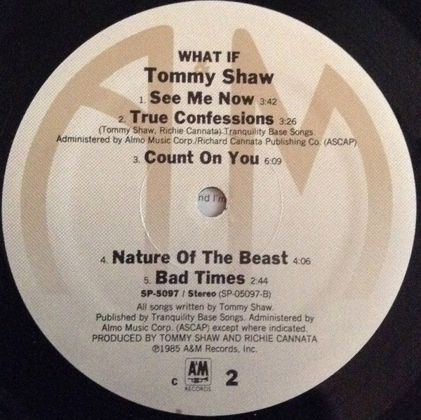Tommy Shaw - What If