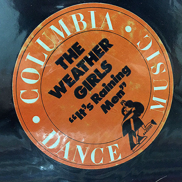 Weather Girls, The - It's Raining Men