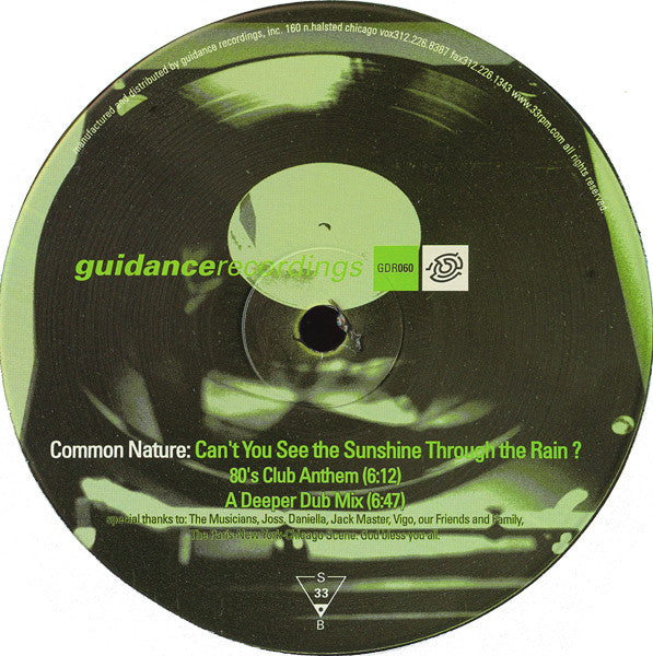 Common Nature - Can't You See The Sunshine Through The Rain ?
