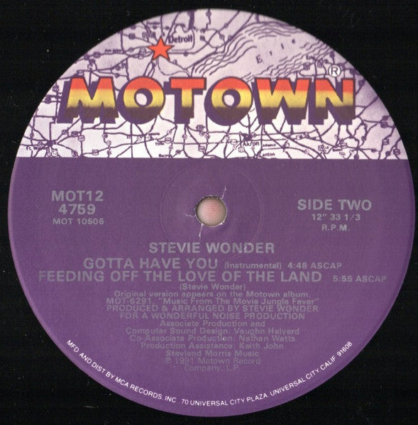 Stevie Wonder - Gotta Have You