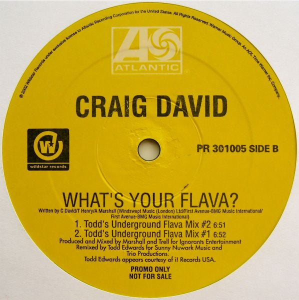 Craig David - What's Your Flava?